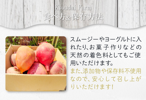 無農薬栽培のスーパーフード　ビーツパウダー（70g×2袋）【ビーツ パウダー 粉末 スタンドタイプ チャック袋 ドライビーツ テーブルビート カエンサイ 火焔菜 微粉末 無添加 無農薬 母の日】