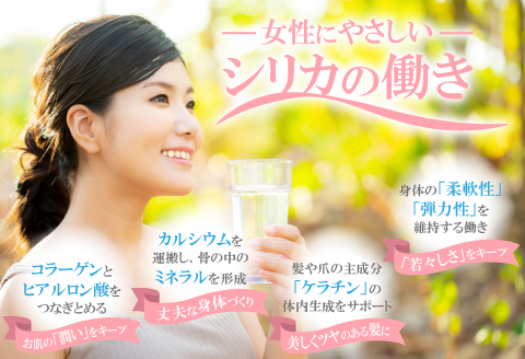 ナチュラルミネラルウォーター「さひめの泉」2L×6本×2箱【水・ミネラルウォーター 2000ml 水 2L 12本 天然水 ミネラルウォーター 軟水 シリカ水 シリカ ペットボトル】