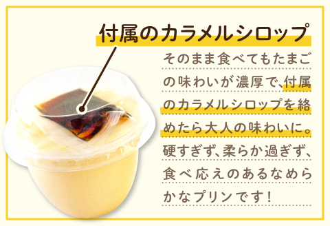 あさひのギフトセット（２５）【えごま玉子 6個入り プリン 無添加 3個 茶碗蒸し 3個 味付けたまご 1パック 厚焼たまご 1パック 玉子とうふ 1パック えごまドレッシング 1本 卵】