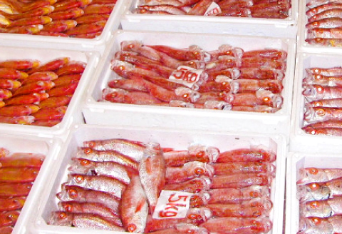 定番の干物４種詰合せセット【干物 セット アジ エテカレイ ハタハタ 白いか 鯵 鰈 鰰 白イカ 島根県産 島根県沖 一夜干し ひもの 魚 魚介 日本食 和食 贈答 ギフト お取り寄せグルメ ご当地グルメ】