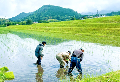 三瓶の米粉（さんべ浮布米100％）400g×8袋【米粉 コシヒカリ 400g×8袋 島根県産 大田市産 お米 米 さんべ浮布米 こしひかり グルテンフリー ヘルシー】