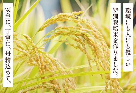 氷感熟成「つや姫」5kg【米 5kg つや姫 特別栽培米 こめ おこめ お米 島根県産 大田市産 氷感熟成 石見銀山氷感つや姫 減農薬 減化学肥料】