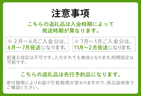 【季節限定品】あまくて真っ赤なビーツ2.5㎏【ビーツ 食べる輸血 奇跡の野菜  健康野菜 スーパーフード カエンサイ ボルシチ ポタージュ スムージー スイーツ ビタミン】