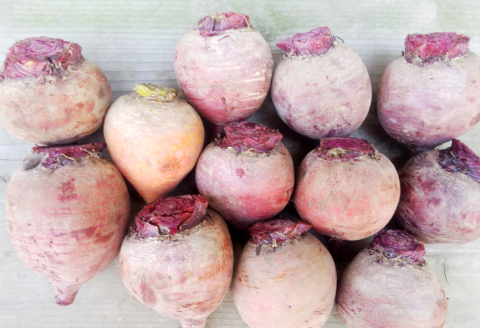 農薬化学肥料不使用の厚切りドライビーツ60g×3袋【ビーツ 食べる輸血 奇跡の野菜 化学肥料不使用 野菜 スーパーフード サラダ スープ おやつ 鉄分 ビタミン 便利 無添加 保存料不使用 ノンフライ】