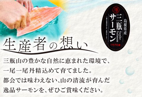 【訳あり】さんべサーモン切り落し 300g【サーモン 300g 切り落し サーモントラウト ニジマス サーモン さけ シャケ しゃけ sake 生食用 刺身 お刺身 刺し身 魚介類 海鮮 冷凍】