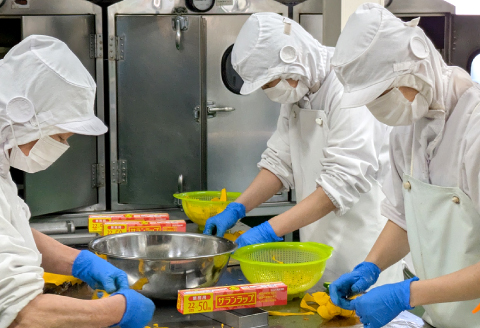 ミニチーズケーキ10個セット【チーズケーキ プレーン 大人のチーズケーキ スイーツ デザート 酒の肴 蒲鉾 かまぼこ 練り物 練物 ねりもの 練リ製品 魚肉 おつまみ おやつ お土産 冷蔵 贈答 父の日 母の日】