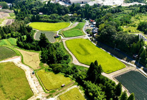 【令和7年産 先行予約】産地直送　源流に育まれた、キヌムスメ米（5kg）【お米 5kg 先行予約 きぬむすめ 令和7年度産 新米 2025年度産 島根県産 絹娘 精米 白米 大田市産 米 2025年産 こめ おこめ JA 島根県 大田市】