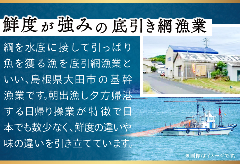 ノドグロ一夜干４尾セット【のどぐろ一夜干し のどぐろ 干物 4尾 1尾あたり140～160g 島根県産 大田市産 魚介類 魚 ノドグロ のど黒 高級魚 干物 真空パック 冷凍】