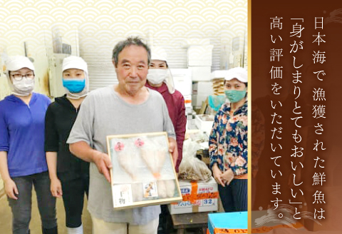 ノドグロ・白イカ一夜干セット【干物セット のどぐろ一夜干し いか 一夜干し のどぐろ干物 2尾 1尾あたり140～160g 白イカ干物 2尾 1尾あたり140g前後 島根県産 大田市産 ノドグロ しろいか 干物 真空パック 冷凍 贈答 ギフト】