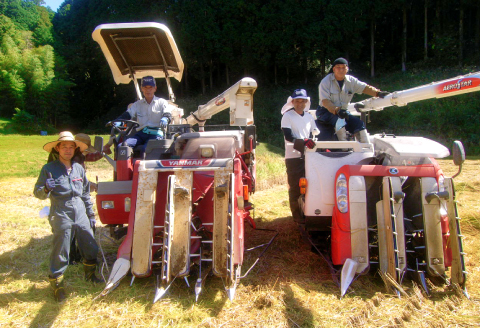 〈五分精米〉有機栽培米 三瓶甘露米 こしひかり 5kg【お米 コシヒカリ 5kg 米 令和6年産 先行予約 2024年産 1等米 5キロ 有機栽培 有機JAS認証 無農薬 化学肥料不使用】