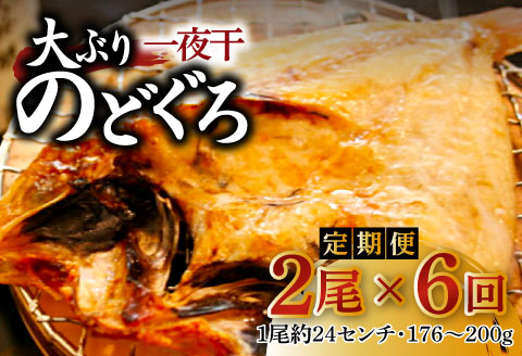 【定期便】島根県沖！大ぶり「のどぐろ一夜干」定期便（6回お届け）【定期便 海鮮 のどぐろ 干物 2尾 6回 合計12尾 のどぐろ一夜干し のどぐろ干物 大ぶり 大 個包装 真空パック 冷凍 セット 島根県 大田市】