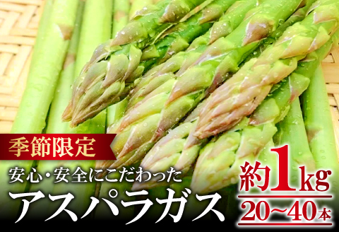 アスパラガス（約１ｋｇ）【季節限定 アスパラガス アスパラ 約1kg 20～40本 美味しまね認証 安心 安全 甘い とろける 初夏 野菜 初夏 塩ゆで 肉巻き おかず 期間限定 4月～9月中旬発送】