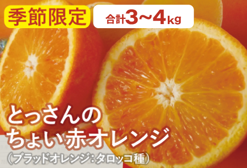 とっさんのちょい赤オレンジ（ブラッドオレンジ：タロッコ種）（配達指定日不可）【ブラッドオレンジ 2箱 3kg～4kg 果物 くだもの フルーツ ジュース スムージー】