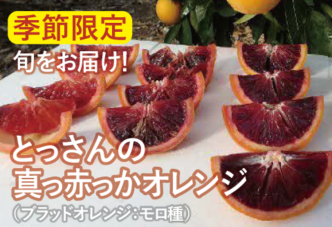 とっさんの真っ赤っかオレンジ（ブラッドオレンジ：モロ種）（配達指定日不可）【ブラッドオレンジ 2箱 3kg～4kg 果物 フルーツ くだもの ジュース スムージー】