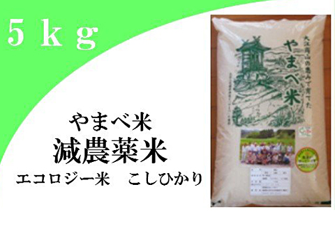 【精米】減農薬米（ こしひかり 100％）５ｋｇ【お米 5kg 令和7年産 2025年産 コシヒカリ 米 精米 エコロジー米 減農薬米 エコファーマー認定 減農薬 減化学肥料 島根県産 大田市産】
