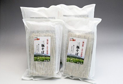 ロード銀山特製三瓶そばセット【そば 蕎麦 三瓶そば 細麺 詰め合わせ セット】