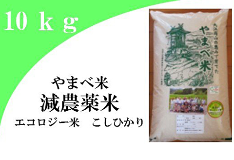 【玄米】減農薬米（こしひかり100％）１０ｋｇ【玄米 10kg 令和7年産 2025年産 コシヒカリ 島根県産 大田市産 米 エコロジー米 エコファーマー認定 減化学肥料 ダイエット】