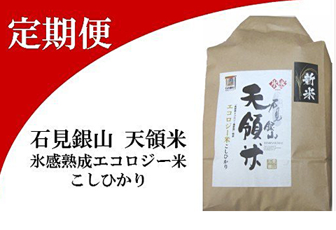 石見銀山天領米(5kg×5回お届け)【定期便 定期 5回 コシヒカリ 精米 5kg×5回 合計25kg 島根県産 大田市産 米 氷感熟成 エコロジー米 天領米】
