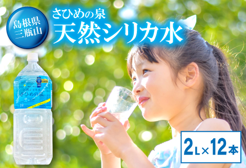 ナチュラルミネラルウォーター「さひめの泉」2L×6本×2箱【水・ミネラルウォーター 2000ml 水 2L 12本 天然水 ミネラルウォーター 軟水 シリカ水 シリカ ペットボトル】