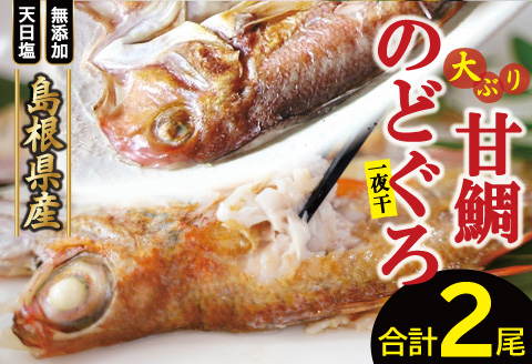 「一日漁」甘鯛・のどぐろ一夜干し【干物セット のどぐろ干物 1尾 201～260g 甘鯛干物 1枚 301～375g 無添加 のどぐろ ノドグロ  特大 アマダイ 大ぶり 干物 一夜干し 冷凍 父の日 母の日】