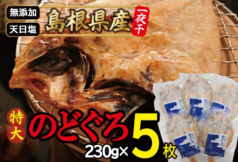 特大のどぐろ一夜干し（5枚セット）【のどぐろ 特大 干物 230g 合計1.15kg のどぐろ干物 無添加 天日塩 高級魚 ノドグロ アカムツ 一夜干し 新鮮 冷凍 真空パック 贈答 父の日 母の日】