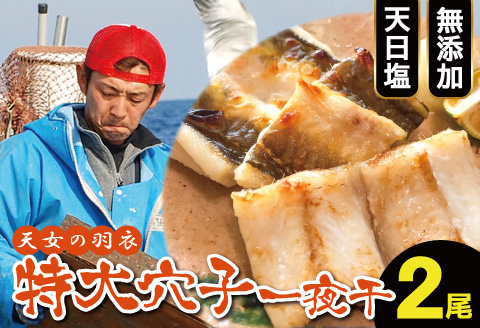 特厚 特大 穴子 一夜干し 2尾 50cm前後【あなご一夜干し 50cm前後 2尾 2枚 穴子干物 穴子 アナゴ あなご 干物 一夜干し 特大サイズ 無添加 天日塩 新鮮 冷凍 真空パック 贈答 父の日 母の日】