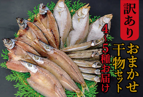 【訳あり】魚の干物おまかせ詰合せセット（のどぐろ入り） 【干物 4～5種 ランダム お楽しみ 島根県産 大田市 魚介類 のどぐろ 白いか アジ カレイ 無添加 天日塩 減塩仕立て 冷凍】
