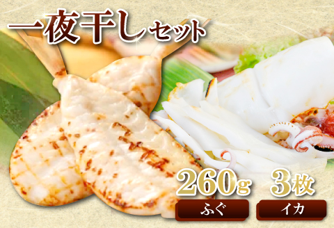 日本海が育んだ絶品　ふぐ・白いか一夜干詰合せ【ふぐ いか フグ 干物 260g 5尾～11尾 1箱 白いか 干物 3枚 河豚 イカ 烏賊 ケンサキイカ 一夜干し 贈答 ギフト 父の日 母の日 国産】