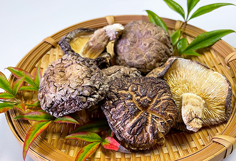 さんべきのっこ村の原木乾燥しいたけ（200g）【干し椎茸 5袋 干ししいたけ 個包装 国産 原木しいたけ 無農薬 化学肥料不使用 天然素材 乾物 きのこ ギフト 贈り物】