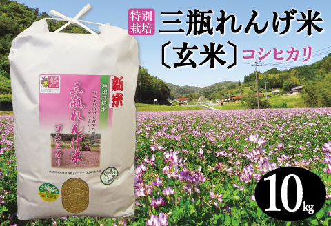 〈玄米〉特別栽培 三瓶れんげ米 コシヒカリ 10kg【令和6年産 お米 玄米 10kg こしひかり 2024年産 特別栽培米 1等米 無化学窒素肥料 減農薬米】