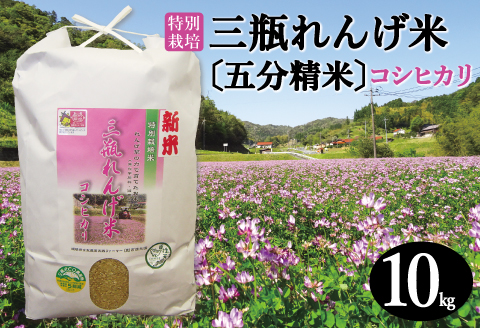 〈五分精米〉特別栽培 三瓶れんげ米 コシヒカリ 10kg【令和6年産 先行予約 こしひかり お米 10kg 2024年産 特別栽培米 五分精米 1等米 無化学窒素肥料 減農薬米】