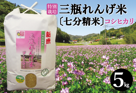 〈七分精米〉特別栽培 三瓶れんげ米 コシヒカリ 5kg【令和6年産 先行予約 こしひかり お米 5kg 2024年産 特別栽培米 七分精米 1等米 無化学窒素肥料 減農薬米】