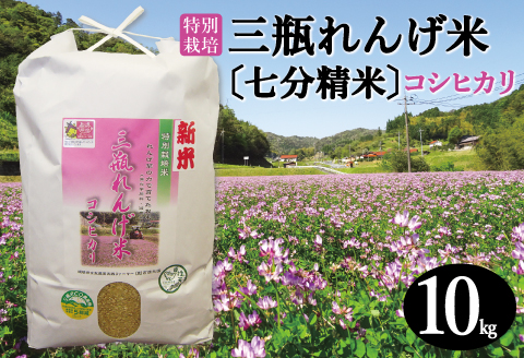 〈七分精米〉特別栽培 三瓶れんげ米 コシヒカリ 10kg【令和6年産 お米 こしひかり 10kg 2024年産 特別栽培米 米 おこめ こめ 七分精米 1等米 無化学窒素肥料 減農薬米】
