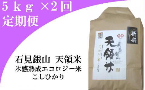 石見銀山天領米定期便（5kg×2回お届け）【コシヒカリ 定期便 こしひかり 定期 2回 精米 5kg×2回 合計10kg 島根県産 大田市産 米 氷感熟成 エコロジー米】