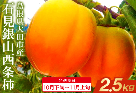 石見銀山西条柿（2.5kg）（配達指定日不可）【西条柿 柿 かき 果物 くだもの フルーツ デザート 渋抜き済 秋 季節限定 期間限定 早期予約 先行予約 島根県 大田市 石見銀山】