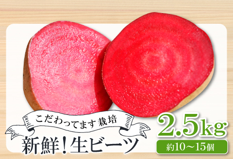 【季節限定品】あまくて真っ赤なビーツ2.5㎏【ビーツ 食べる輸血 奇跡の野菜  健康野菜 スーパーフード カエンサイ ボルシチ ポタージュ スムージー スイーツ ビタミン】