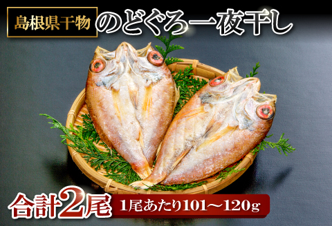 旨みを引き出した のどぐろ一夜干し 2尾【のどぐろ一夜干し 1尾あたり101～120g のどぐろ干物 のどぐろ ノドグロ のど黒 あかむつ アカムツ 干物 個包装 小分け 真空パック 冷凍 父の日 母の日】