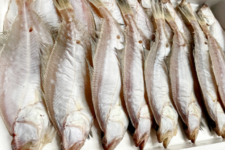 水揚げ直後！干しカレイ(６枚入り)【干物 カレイ かれい 6枚 魚 さかな 旬 エテカレイ 干しカレイ 国産 無添加 水揚げ直後 冷蔵 ノンフローズン 季節限定 大田市】