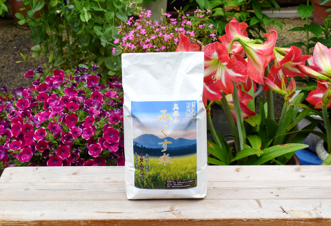 【令和7年産 先行予約】産地直送　源流に育まれた、キヌムスメ米（5kg）【お米 5kg 先行予約 きぬむすめ 令和7年度産 新米 2025年度産 島根県産 絹娘 精米 白米 大田市産 米 2025年産 こめ おこめ JA 島根県 大田市】