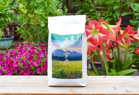 【令和7年産 先行予約】産地直送　源流に育まれた、コシヒカリ米（5kg）【コシヒカリ 5kg 先行予約 お米 令和7年 こしひかり 令和7年度産 2025年度産 島根県産 精米 白米 新米 大田市産 米 こめ おこめ 産地指定 JA 島根県 大田市】