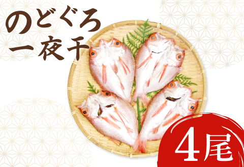 ノドグロ一夜干４尾セット【のどぐろ一夜干し のどぐろ 干物 4尾 1尾あたり140～160g 島根県産 大田市産 魚介類 魚 ノドグロ のど黒 高級魚 干物 真空パック 冷凍】