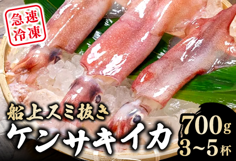 船上スミ抜きケンサキイカ 700g以上（3～5杯）【いか 剣先いか 700g以上 烏賊 イカ ケンサキイカ 贅沢 刺身 おかず おつまみ お酒 冷凍 地物 天然物 新鮮 真空パック 旨い 海産物 魚介類 獲れたて】