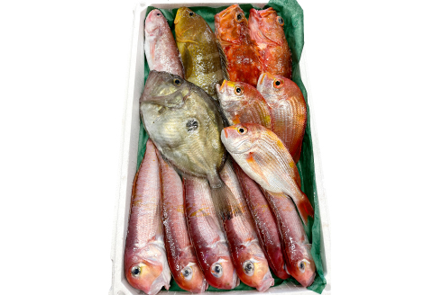 NB0543 旬の鮮魚ＢＯＸお任せセット（梅）【鮮魚 約5kg 冷蔵 旬 魚 さかな 天然 天然魚 新鮮 地魚 産地直送 水揚げ次第発送 おまかせ セット 詰め合わせ お取り寄せ 大田市 和江漁港】