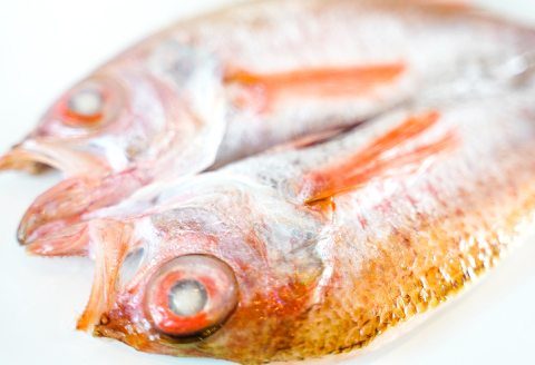 のどぐろ一夜干 150ｇ×5枚【 のどぐろ干物 無添加 天日塩 魚介類 魚 高級魚 ノドグロ アカムツ あかむつ 干物 新鮮 冷凍 真空パック 】