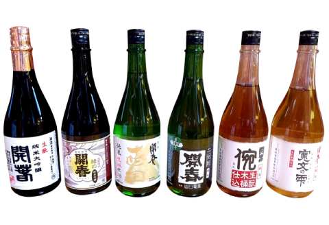 若林酒造「開春」日本酒 生もと6種飲み比べセット（720ml×6本）【日本酒 6本 720ml 純米酒 開春 生酛 きもと 生もと純米 生もと純米大吟醸 西田 寛文の雫 イ宛 生酛山口 大吟醸 最高級 高級 冷や 燗 熱燗 お酒 酒 父の日 島根県 大田市】