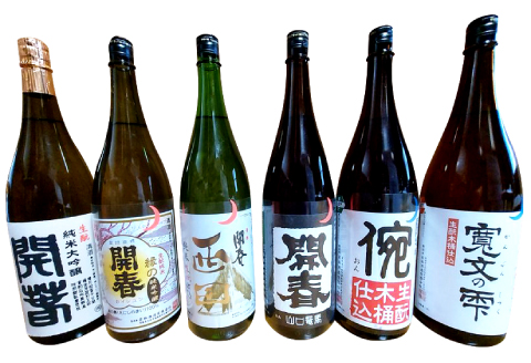 若林酒造「開春」日本酒 生もと6種飲み比べセット（1.8L×6本）【日本酒 6本 セット 6種類 1800ml 開春 生酛 生もと 西田 寛文の雫 倇 生もと山口 生もと純米吟醸 生もと純米大吟醸 飲み比べ ギフト 父の日 島根県 大田市】
