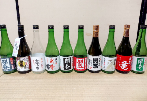若林酒造「開春」日本酒 10種お届け定期便（720ml×10本）5回コース【日本酒 定期便 10種類 720ml お酒 地酒 飲み比べ 純米 特別純米 大吟醸 辛口 生もと 開春 2本ずつ 5回】