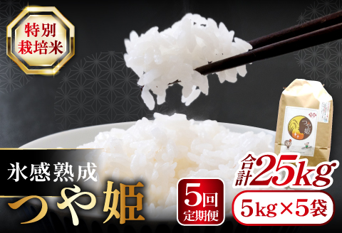 【定期便】氷感熟成「つや姫」定期便(5kg×5回お届け) 【米 定期便 つや姫 お米 5kg 定期 5回 特別栽培米 5kg×5回 合計25kg 島根県産 大田市産 こめ おこめ 氷感熟成 減農薬】
