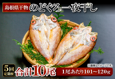 のどぐろ一夜干し 2尾 【5回定期便】【のどぐろ 干物 1尾あたり101～120g 2尾 のどぐろ干物 10枚 ノドグロ あかむつ アカムツ 新鮮 一夜干し 個包装 小分け 真空パック 冷凍 贈答 父の日 母の日】