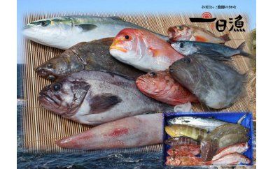 『おおだ一日漁』旬の鮮魚詰め合わせ【島根県産 大田市産 旬 鮮魚 最高級 下処理済 魚 貝 魚介類 海鮮 お楽しみ 詰め合わせ セット 刺身 煮つけ 揚げ物 冷蔵】